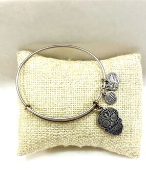 Alex and Ani Silver Calavera Skull Bangle Bracelet 2016